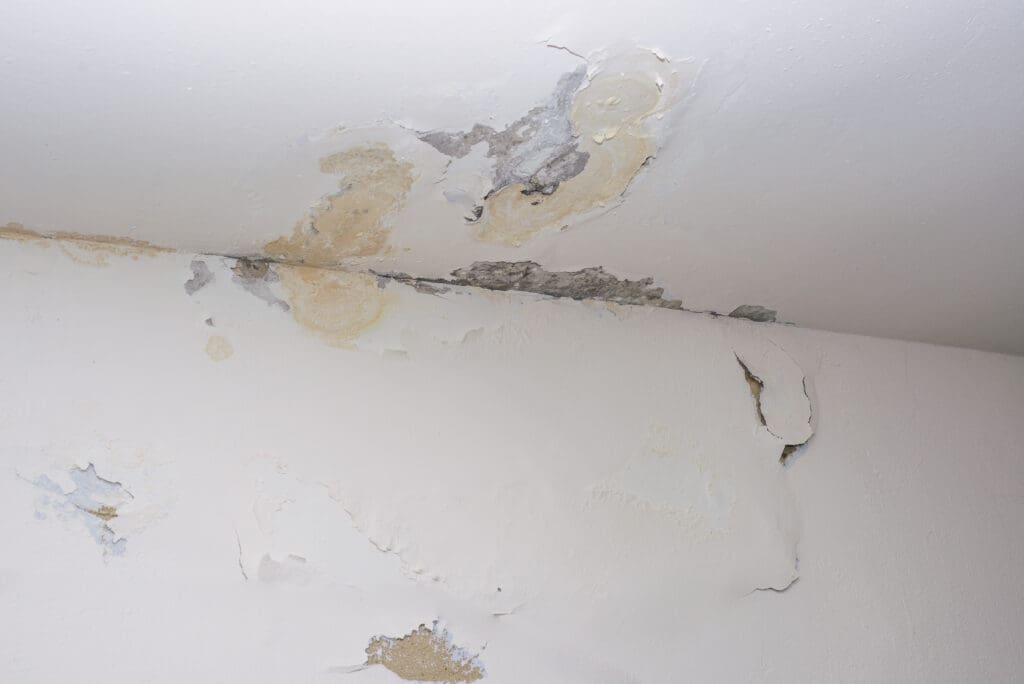 A ceiling and wall corner with severe water damage, showing peeling paint, discoloration, mold, and cracks. The affected area has yellow and brown stains, indicating prolonged moisture exposure.