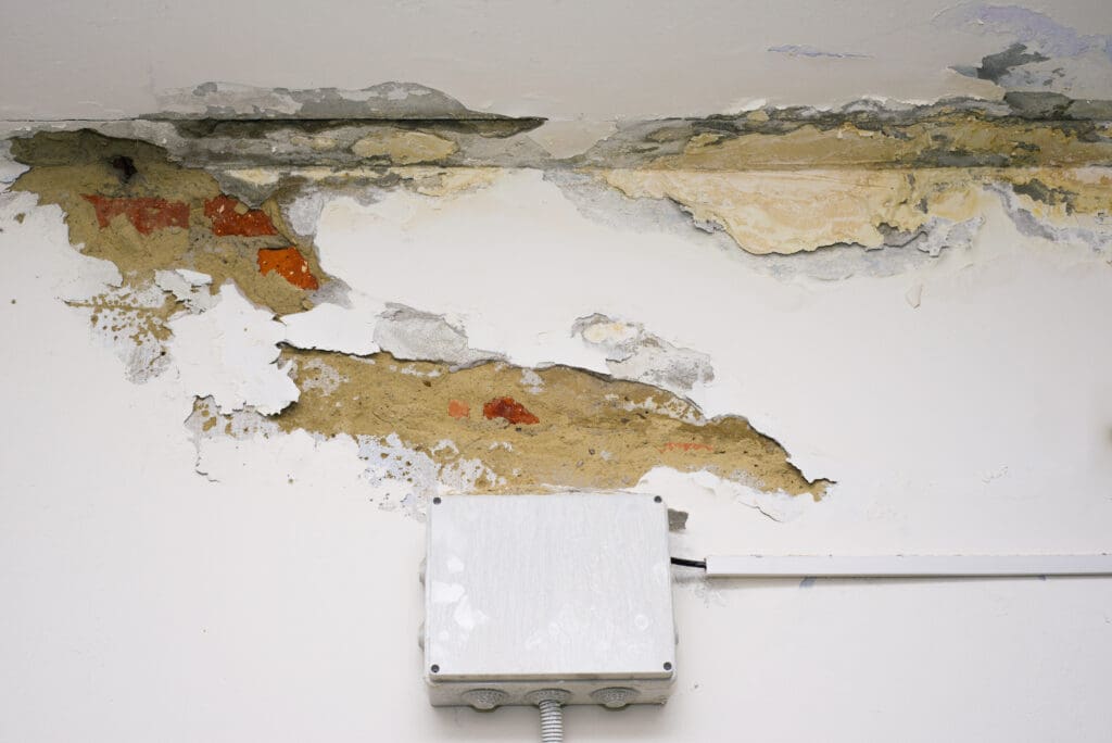 A damaged white ceiling and wall with significant water stains, mold, and peeling plaster above a gray electrical box and conduit.