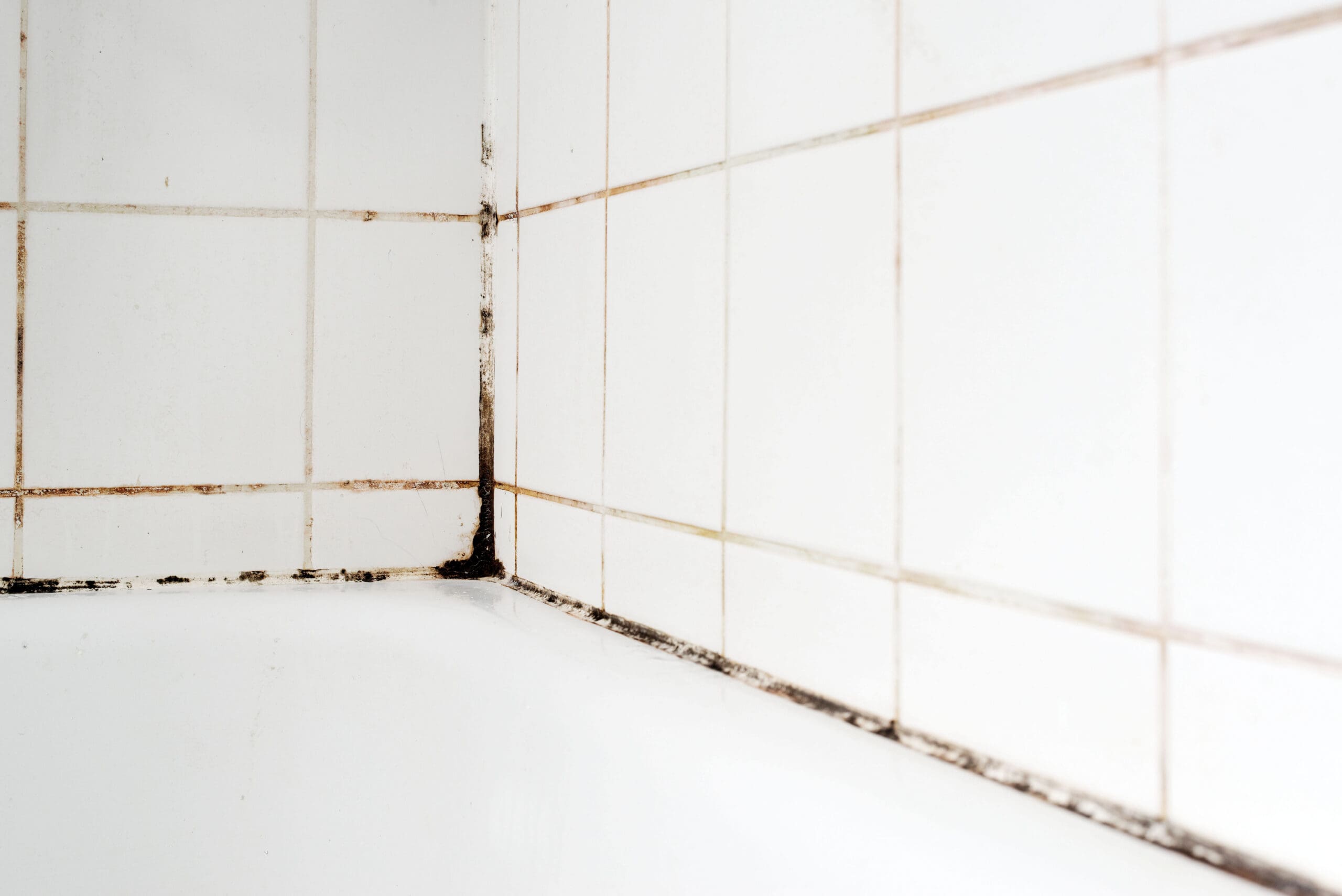White bathroom tiles with significant black mold and mildew buildup along the grout lines and corners above a bathtub, indicating a need for cleaning and maintenance.