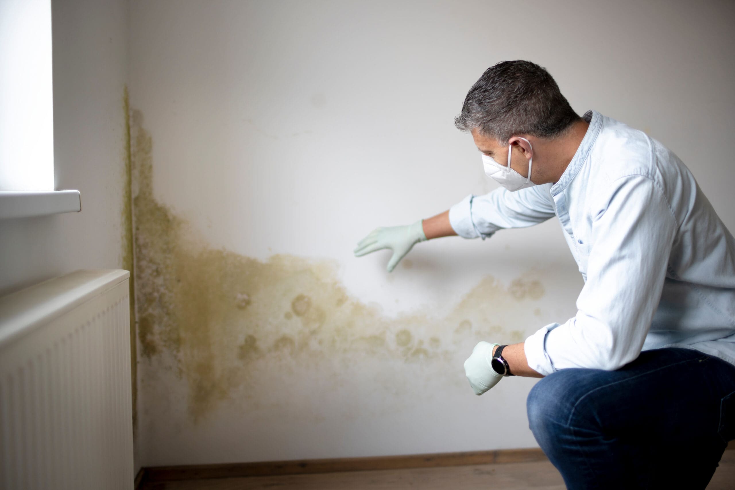 A man wearing gloves and a face mask points to a large patch of mold on a white wall near a radiator in a room, indicating concern about water damage or mold growth.