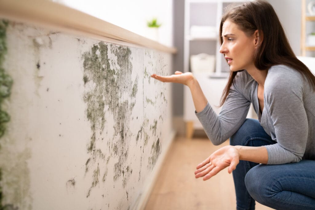 A woman crouches indoors, looking frustrated and examining a wall covered with large patches of black and green mold.
