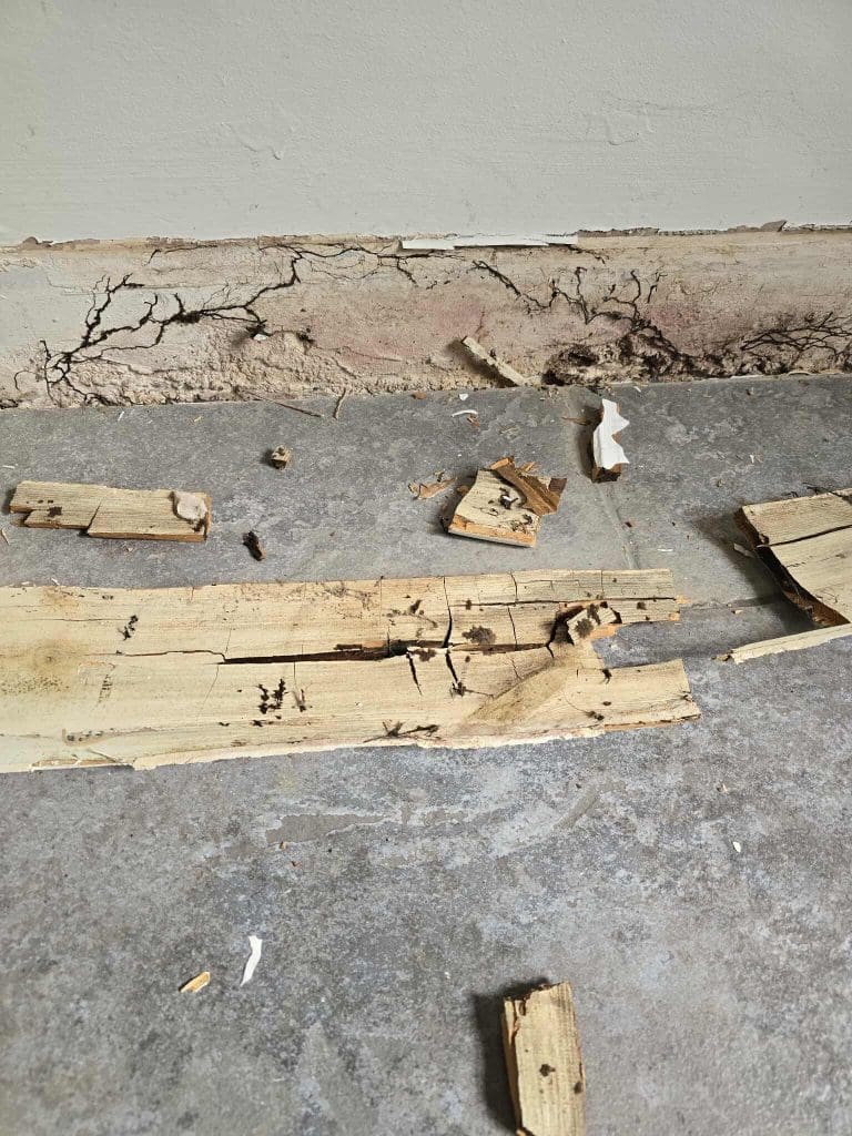 Broken and splintered wood pieces scattered on a concrete floor, with a cracked and damaged wall in the background, showing signs of water damage and decay.