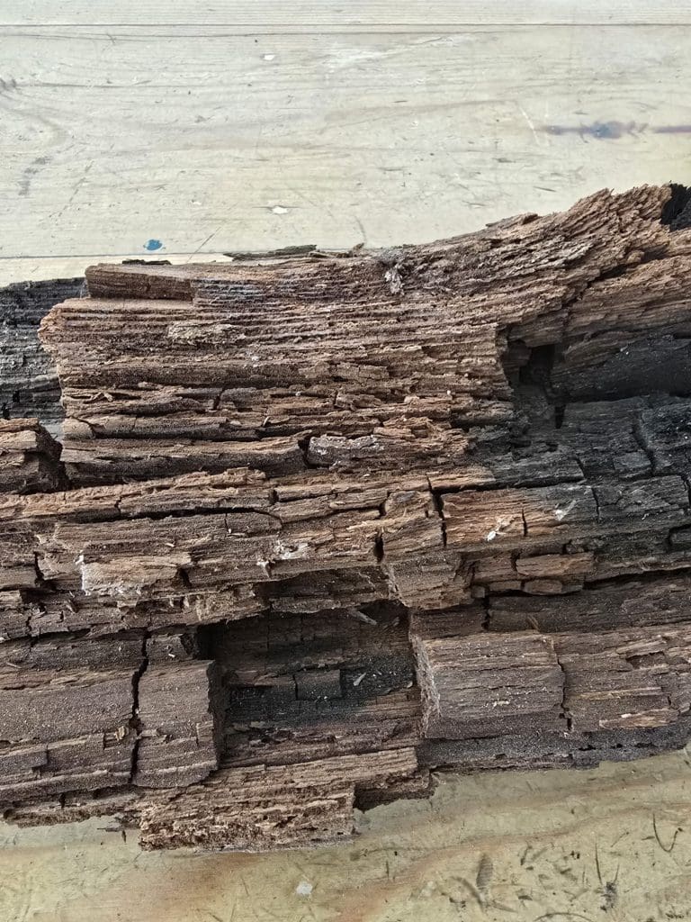 Close-up of a piece of decaying, splintered wood with rough, jagged layers and a rectangular gap, set on a light wooden surface. The wood appears dry and brittle.